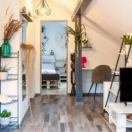 Luminous Attic In Central Appartement *